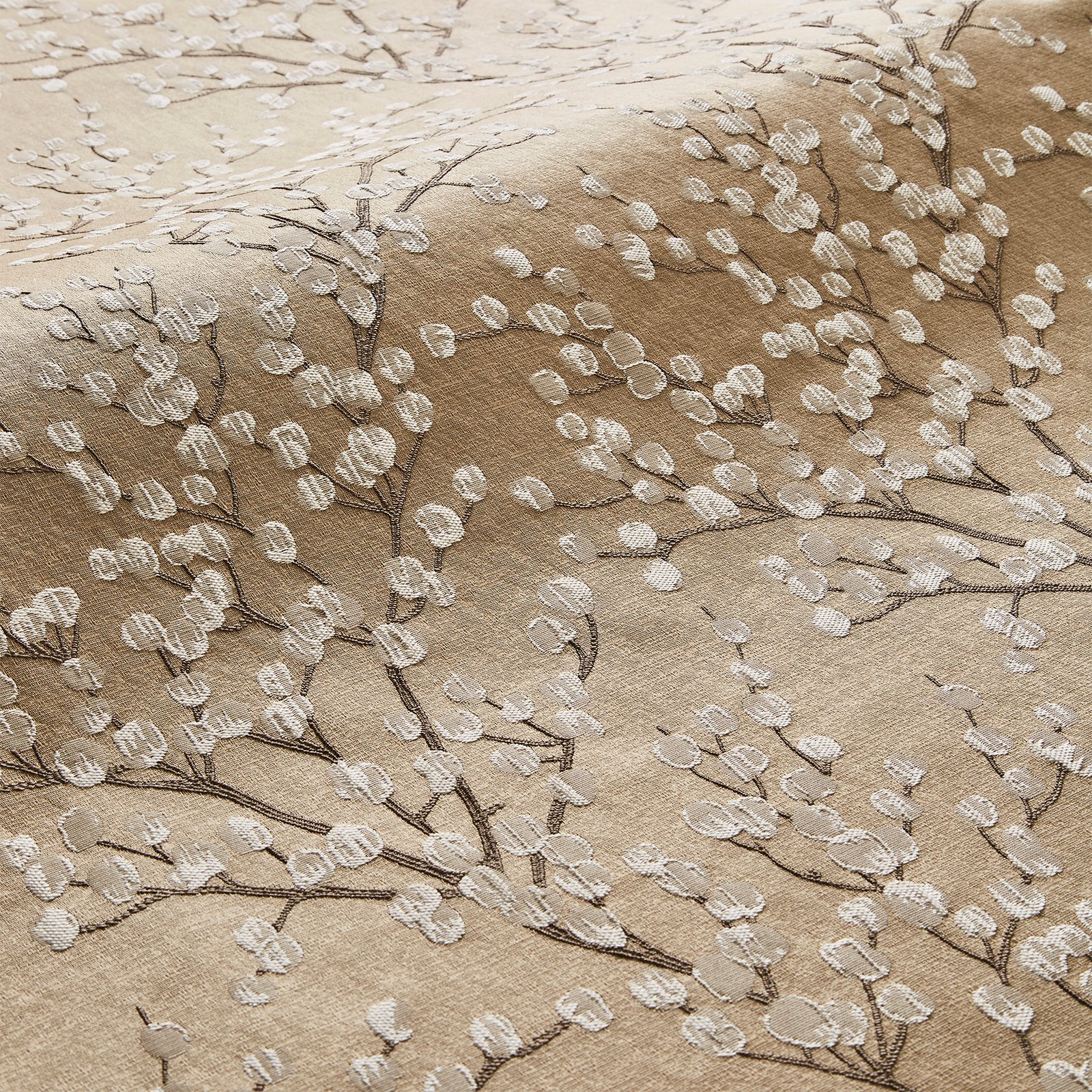 Catkin Praline 1.37m